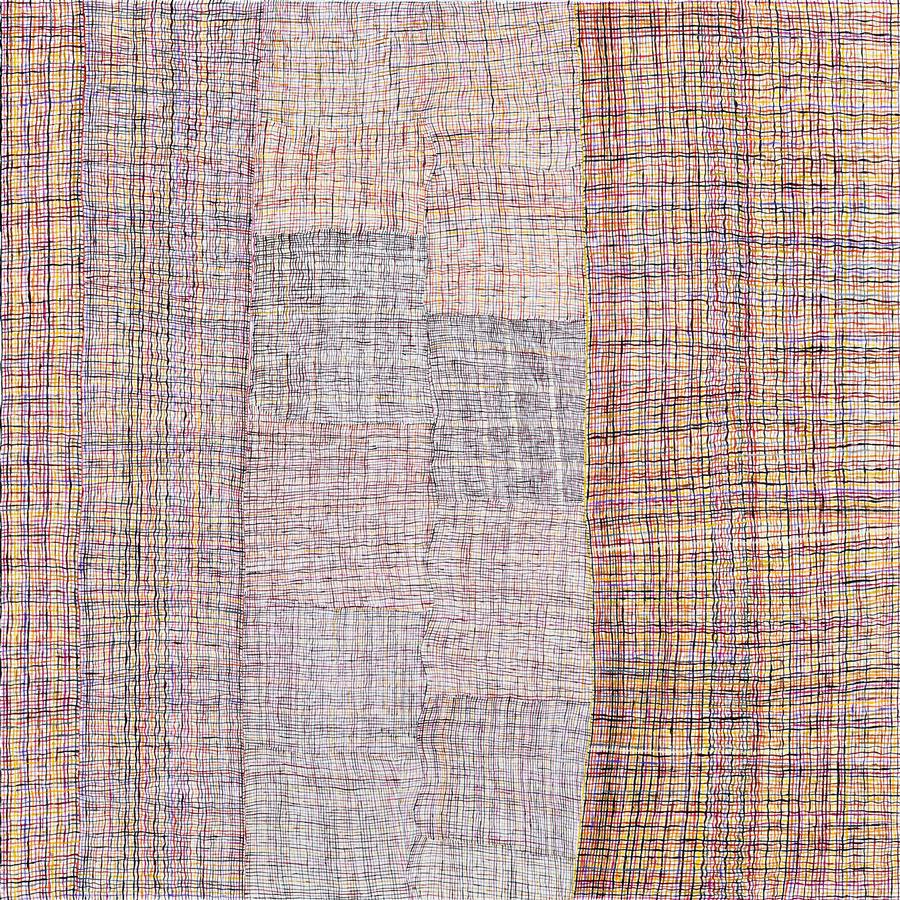 UNTITLED (FISH NET)