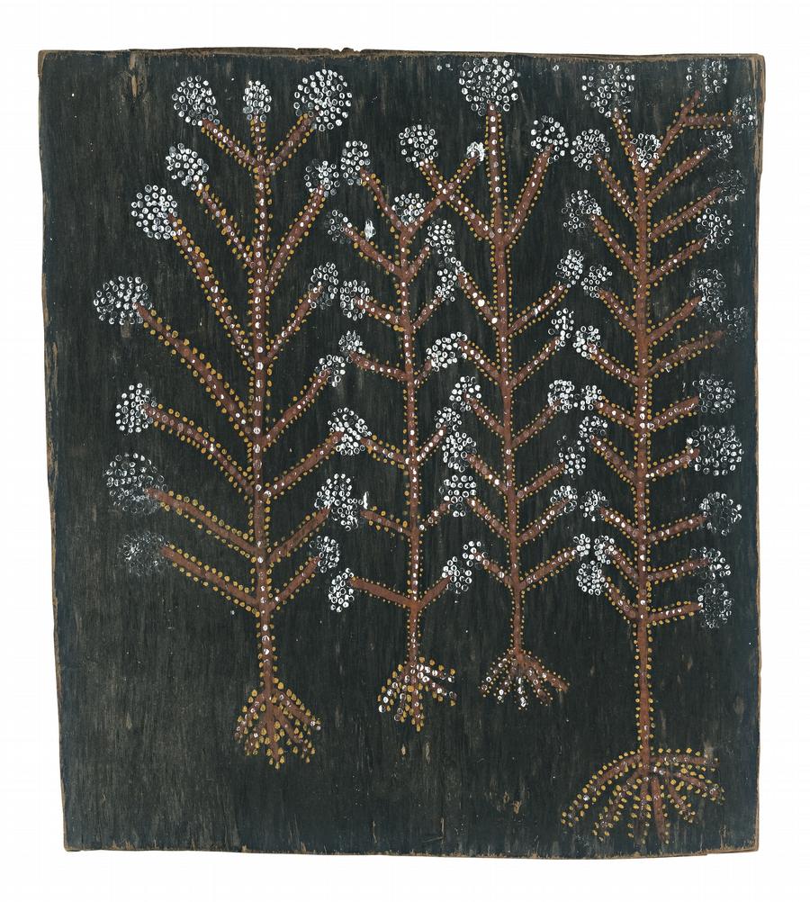 SACRED TREES