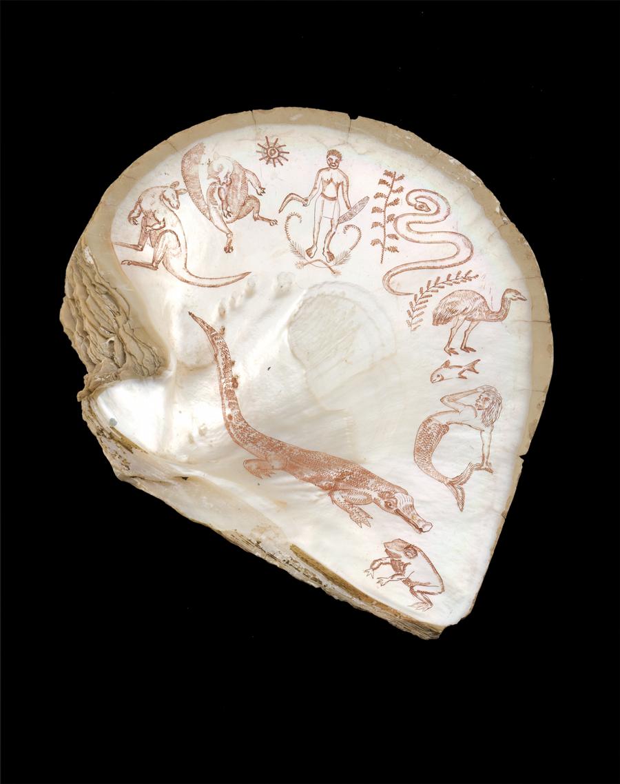 AN ENGRAVED PEARL SHELL
