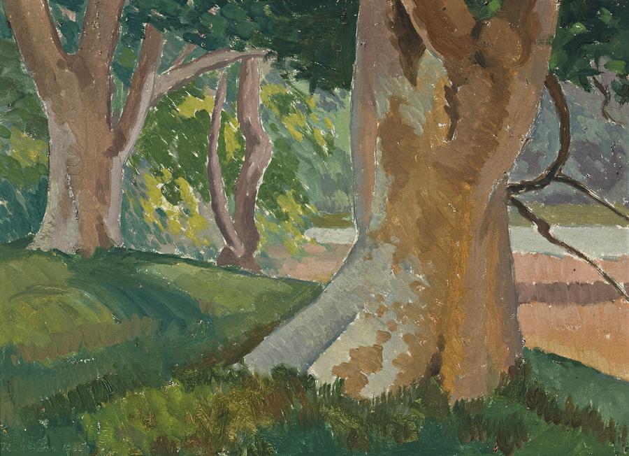 LANDSCAPE WITH ANGOPHORAS