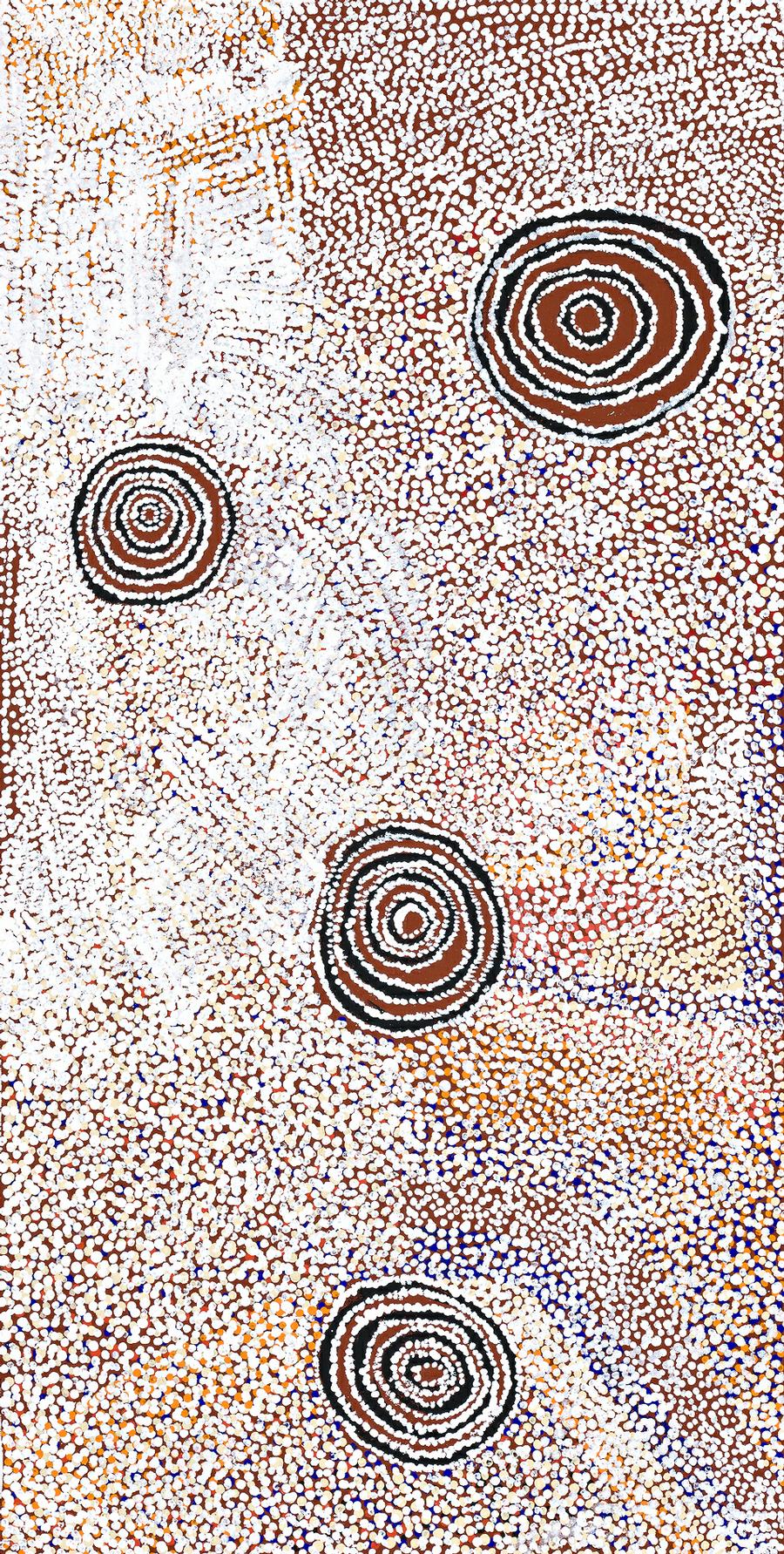 ROCK HOLES AND COUNTRY NEAR THE OLGAS