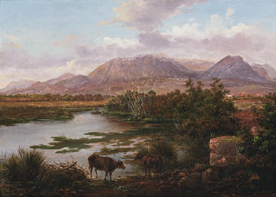 MARSH NEAR PAESTUM