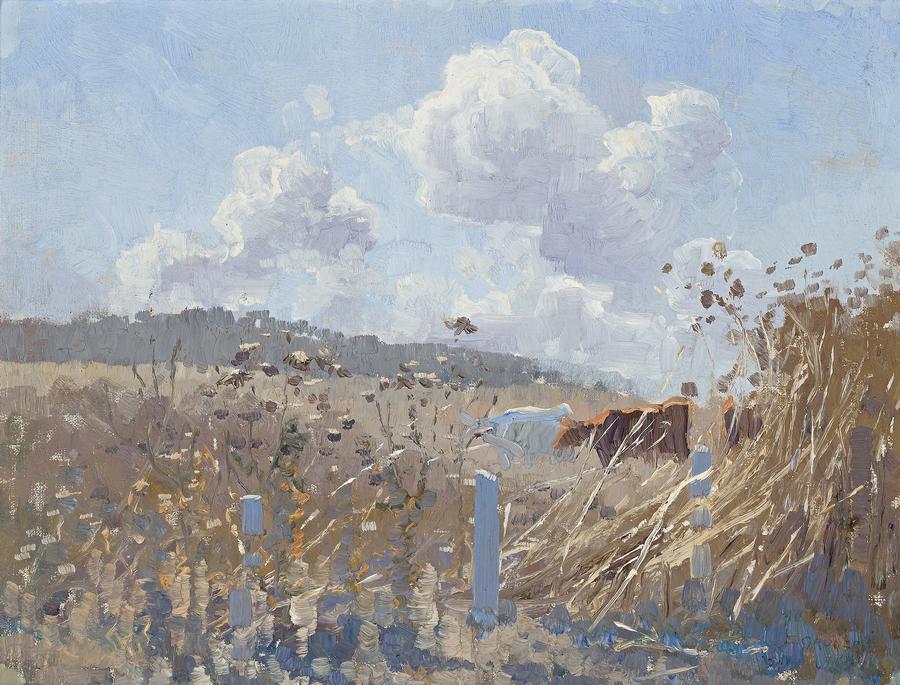 SUMMER LANDSCAPE