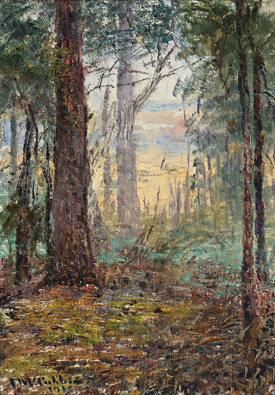 FOREST MACEDON