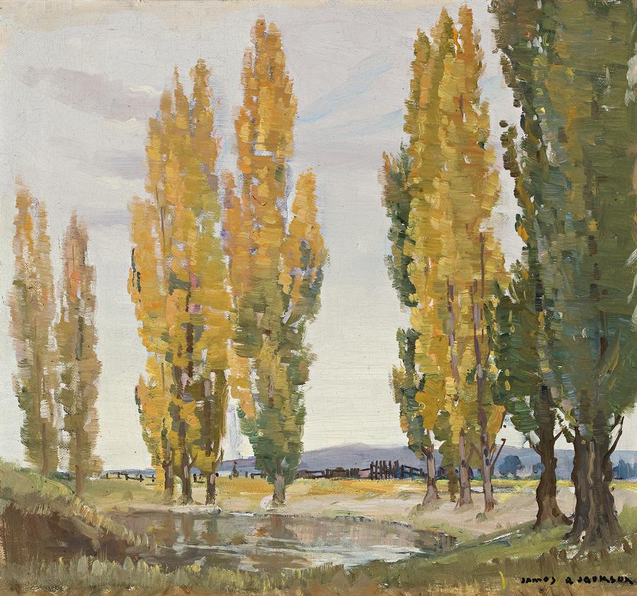 POPLARS BY THE DAM