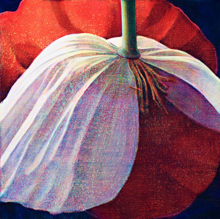 UNTITLED 20070403