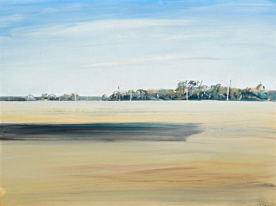 SHOALHAVEN LANDSCAPE