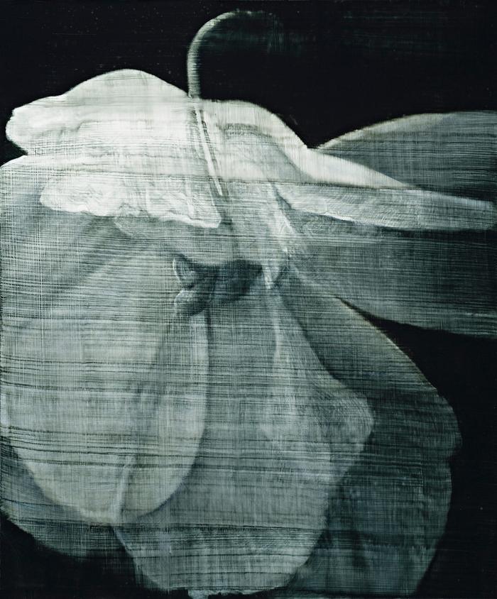 UNTITLED 20030908