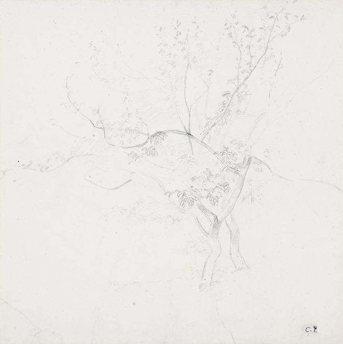 LA FEUILLETTE, PARIS