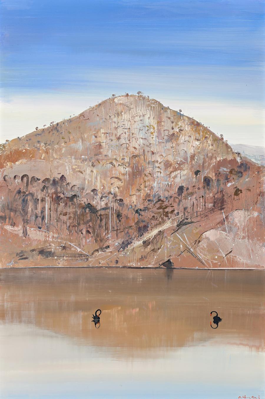 REFLECTED HILL, SHOALHAVEN