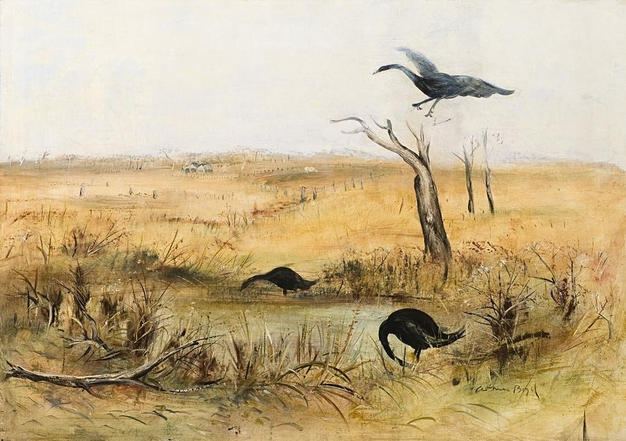 WIMMERA LANDSCAPE WITH BLACK SWANS