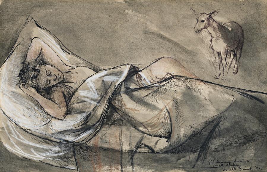 GIRL DREAMING ABOUT A SMALL DONKEY