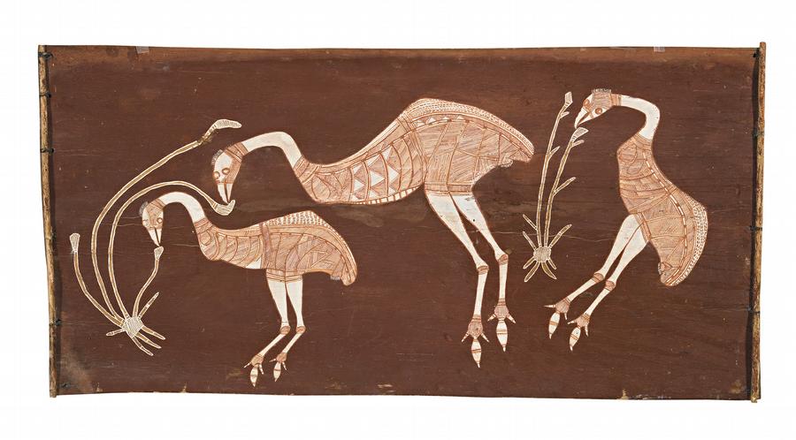 EMUS FEEDING