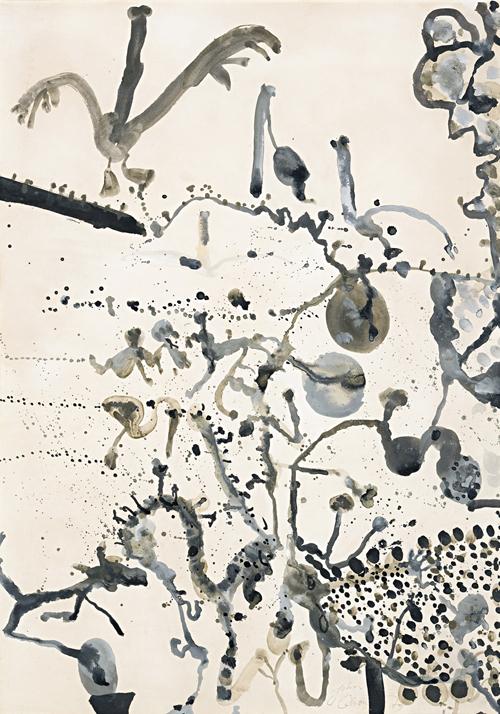 BIRDS OVER THE DESERT