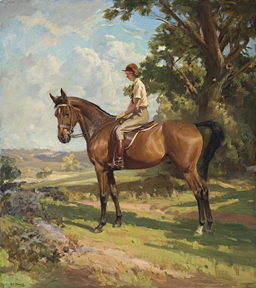 THE YOUNG EQUESTRIAN