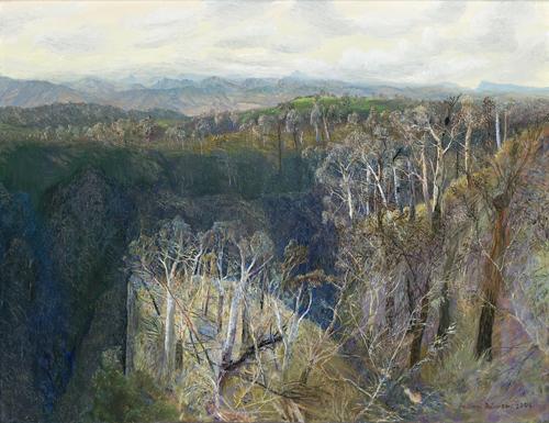 TO MOUNT FLINDERS IN AFTERNOON LIGHT
