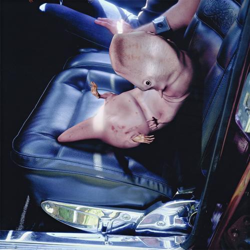 RESTLESS, 2000 (FROM SO2 SERIES 1)