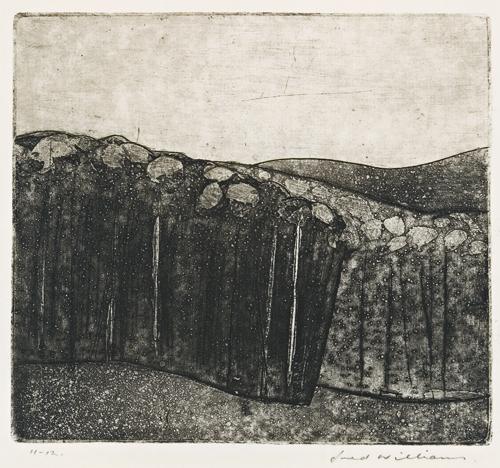 FOREST AT ALMERTON NUMBER 2