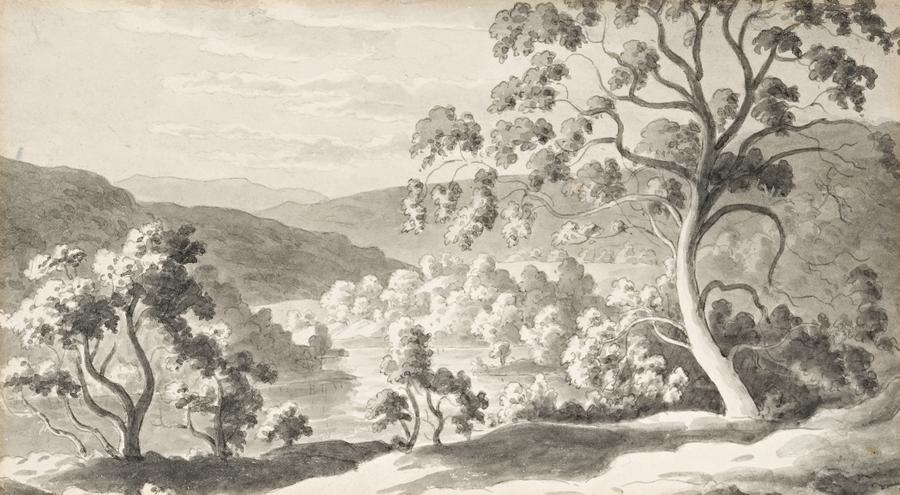 TASMANIAN LANDSCAPE