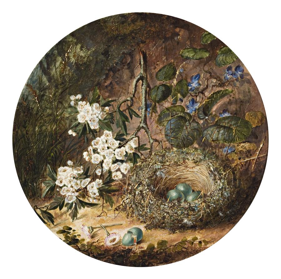 FALLEN BIRDS’ NEST