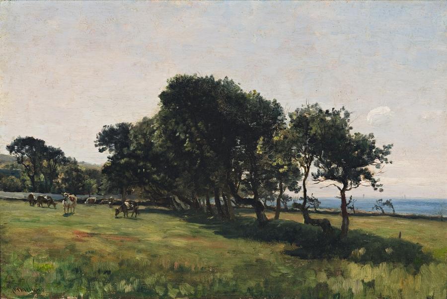 LANDSCAPE