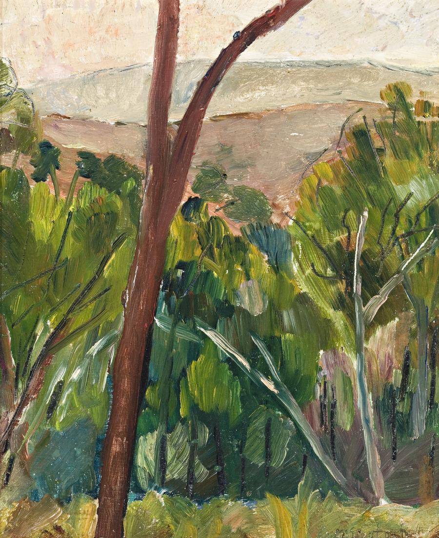 BUSH AND MOUNTAINS