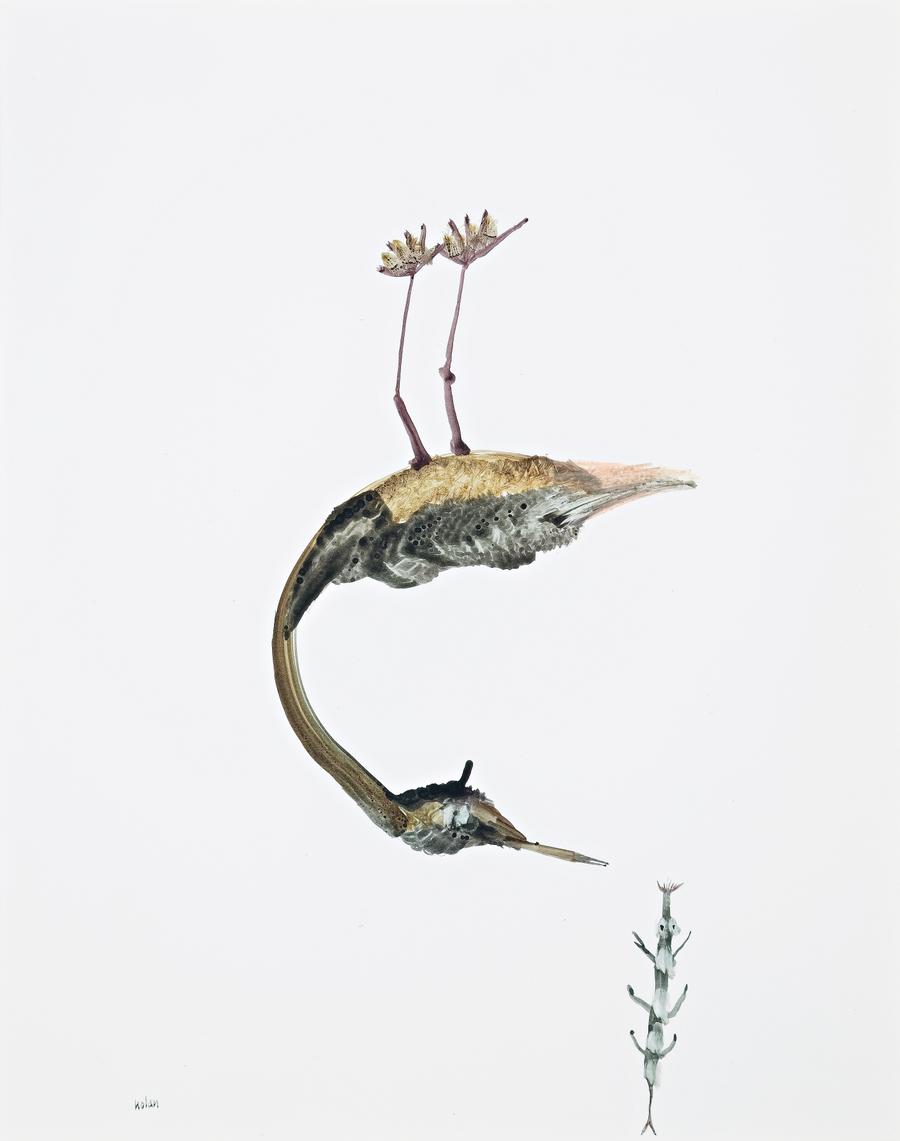 UPSIDE DOWN BIRD AND INSECT