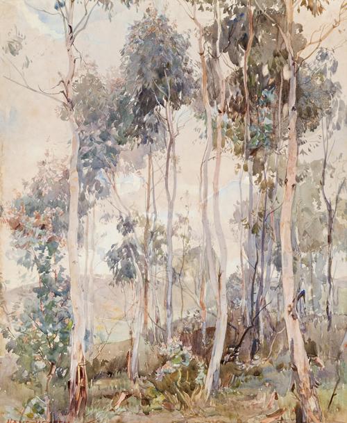 SAPLINGS