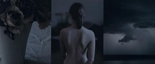 GENERIC STUDIES : FLOWER, FIGURE AND SEASCAPE