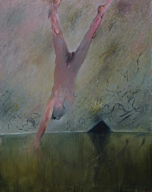 FIGURE FALLING, SHOALHAVEN