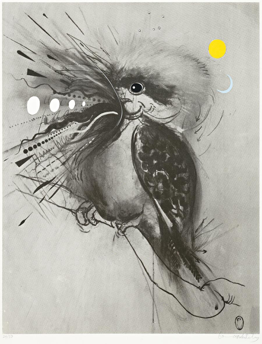 KOOKABURRA