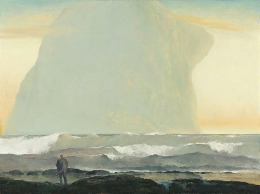 VISITOR BY THE SOUTHERN SEAS