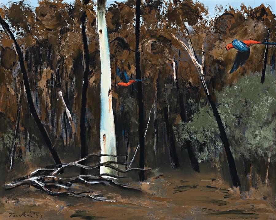 AFTER THE BUSHFIRE