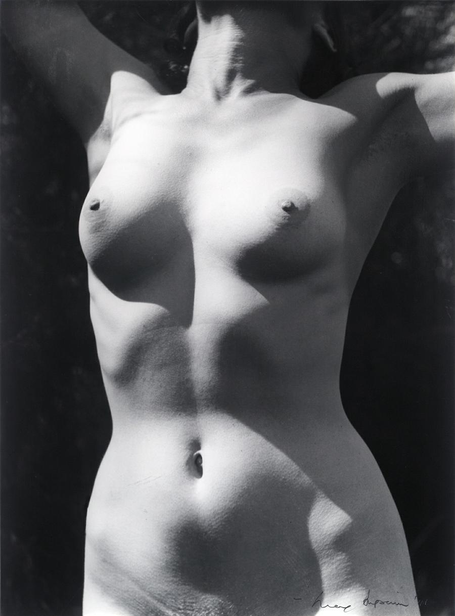 TORSO IN SUNLIGHT II