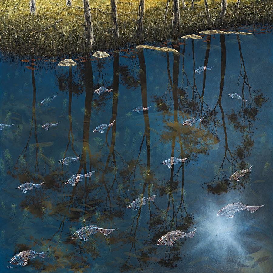 FISH, BARMAH FOREST