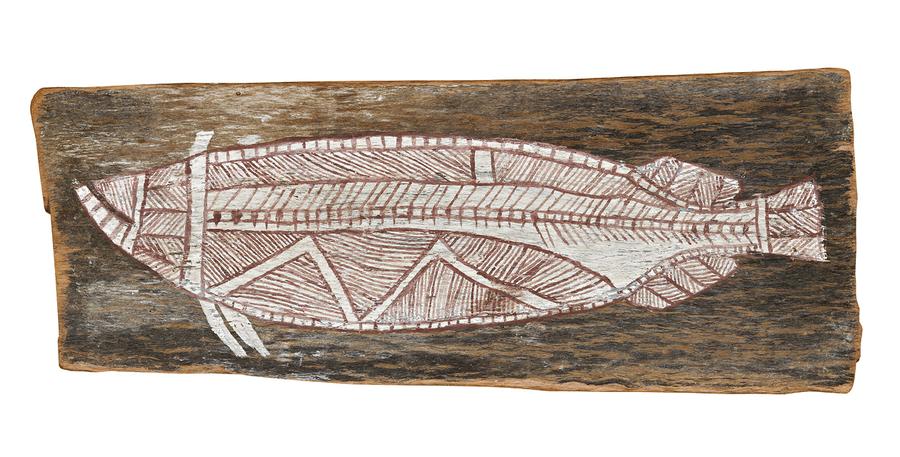 BARRAMUNDI