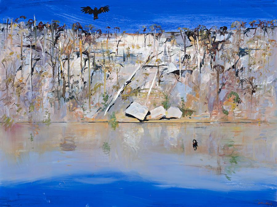 SHOALHAVEN WITH BLACK COCKATOO AND SWAN