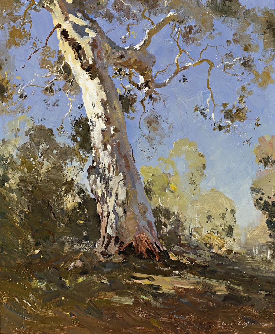 MORNING (THE WHITE GUM)
