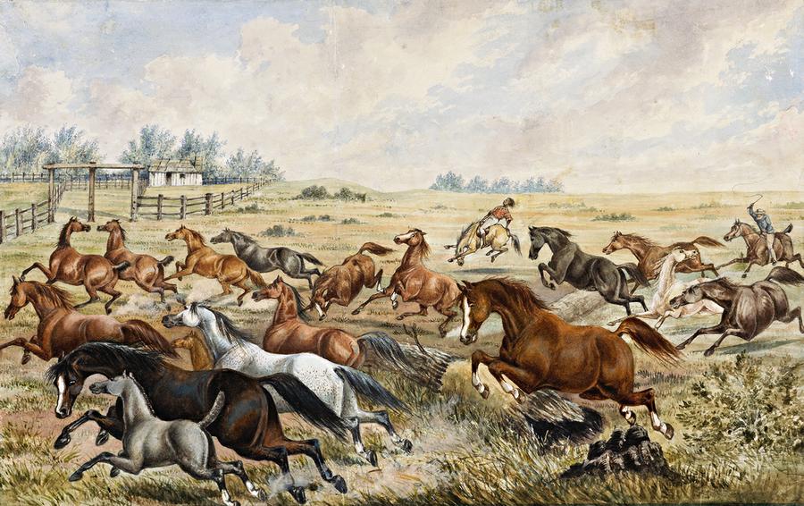 ROUNDING UP HORSES