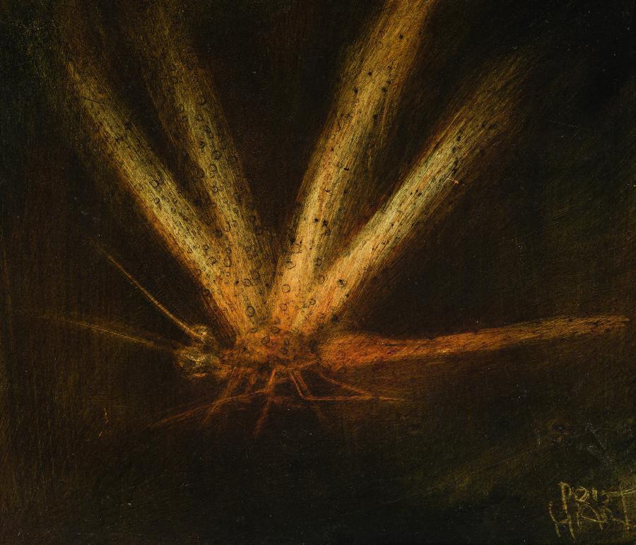 DRAGONFLY