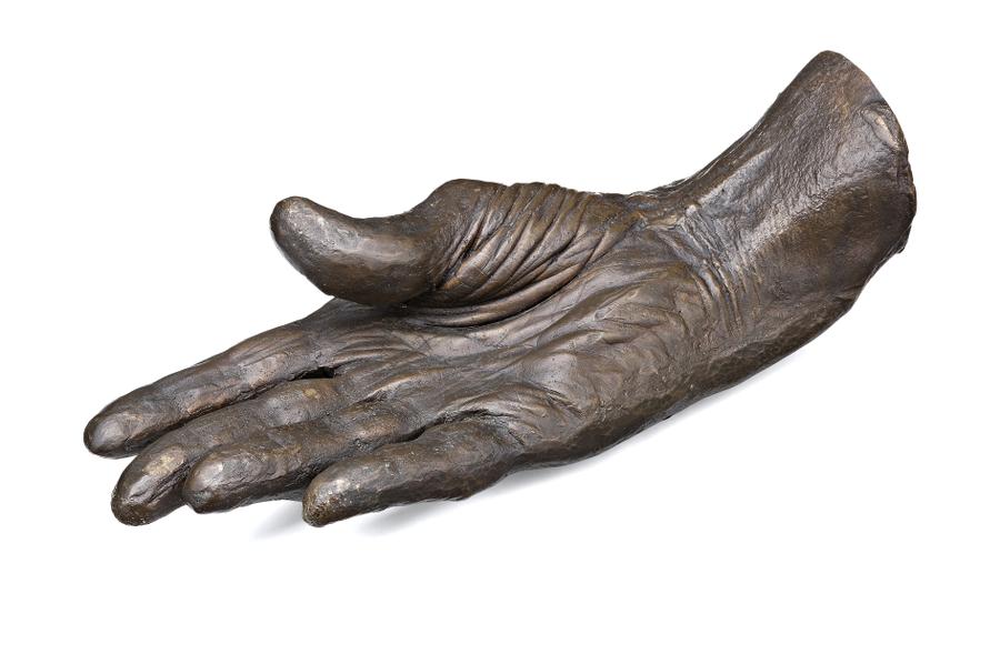 HAND OF LORD CASEY