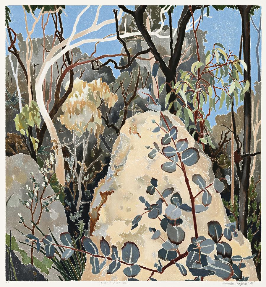 BAKER’S CREEK BUSH