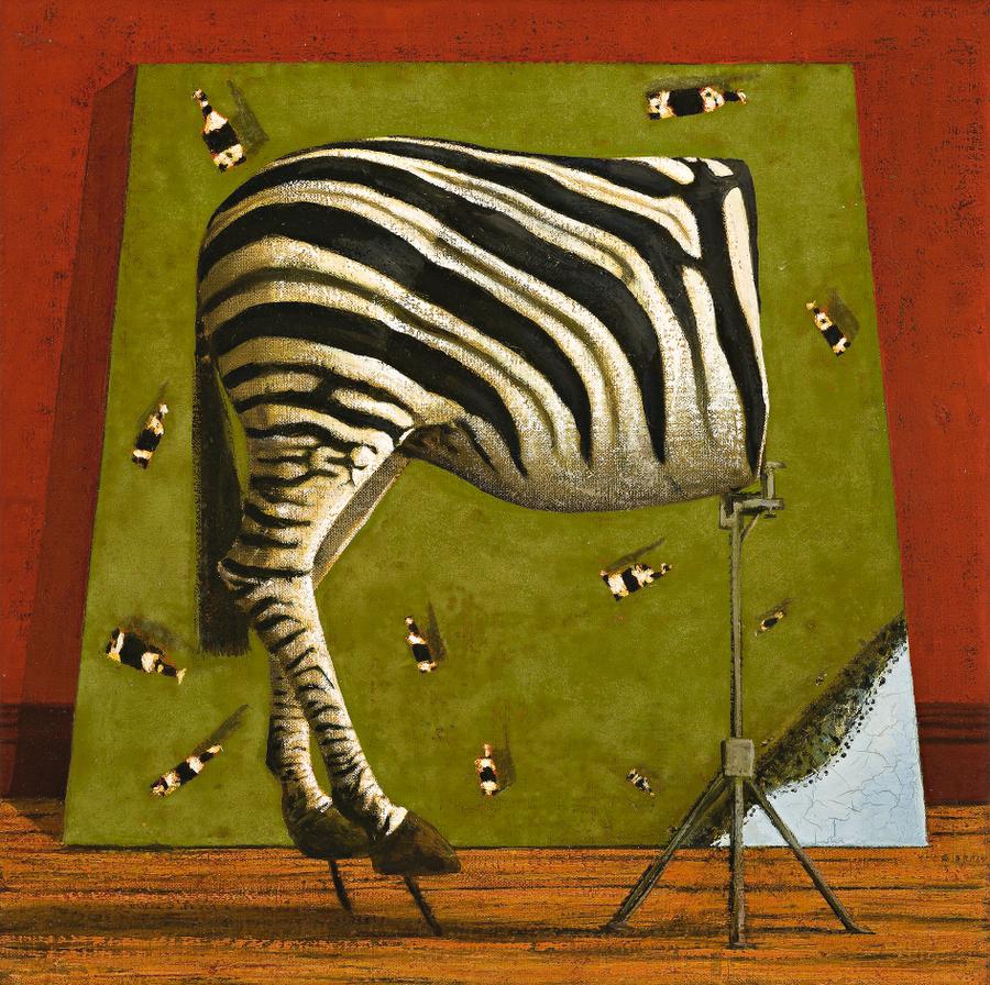 AERIAL VIEW AND HALF A ZEBRA