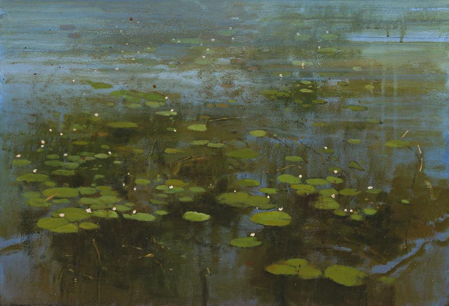 WATER LILIES