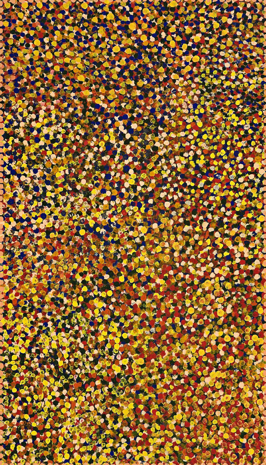 A CARPETED DESERT