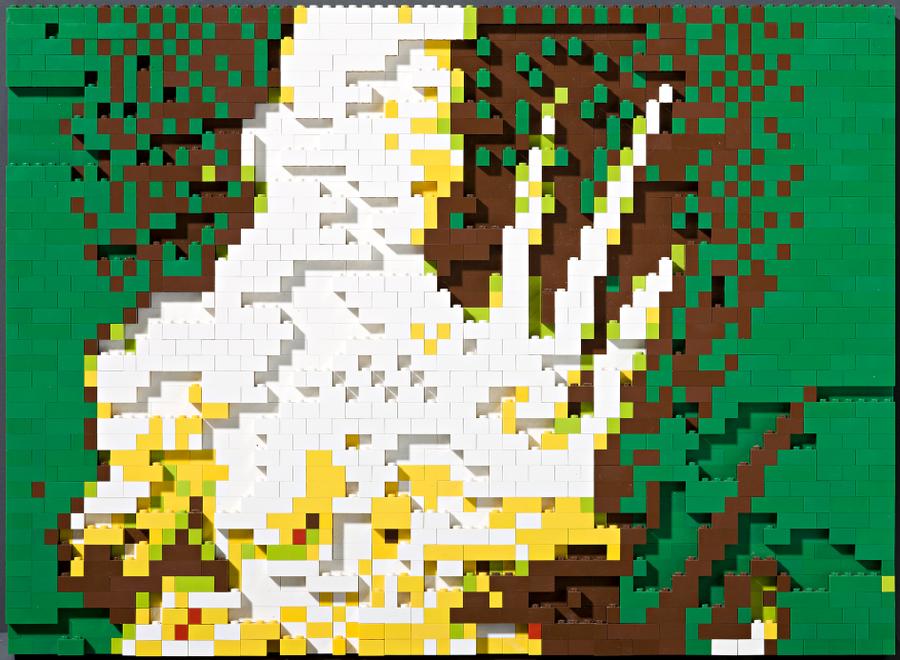 T+78_STUDY_GREEN&BROWN