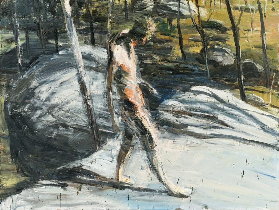FIGURE IN MOONBI LANDSCAPE