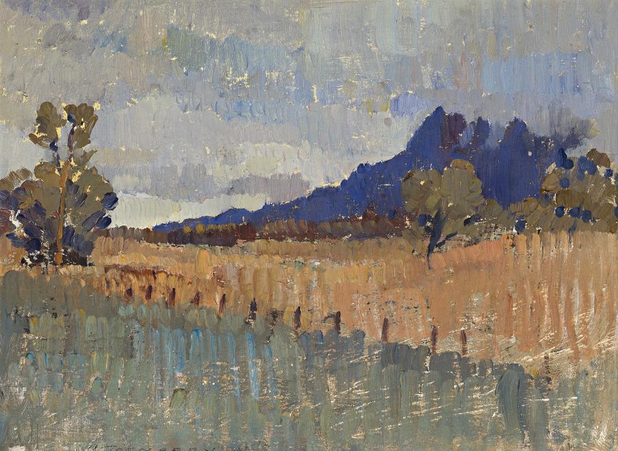 NORTHERN LANDSCAPE (FLINDERS RANGES LANDSCAPE WITH RAIN APPROACHING)