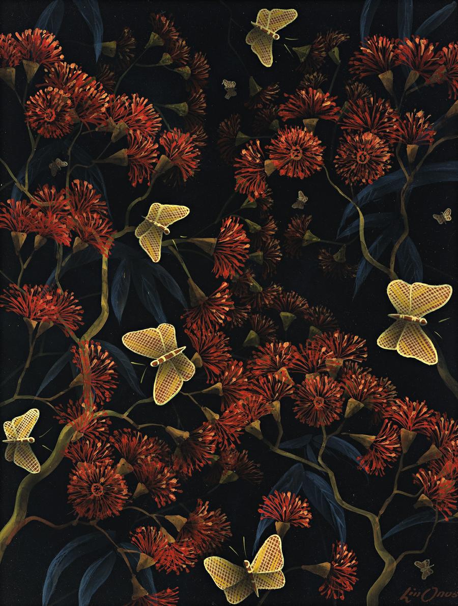 BUTTERFLIES, SHERBROOKE FOREST