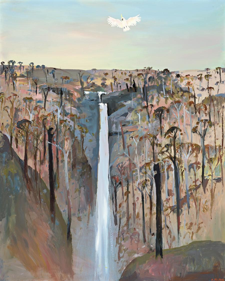 WATERFALL ON THE BANKS OF THE SHOALHAVEN RIVER